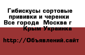 Гибискусы сортовые, прививки и черенки - Все города, Москва г.  »    . Крым,Украинка